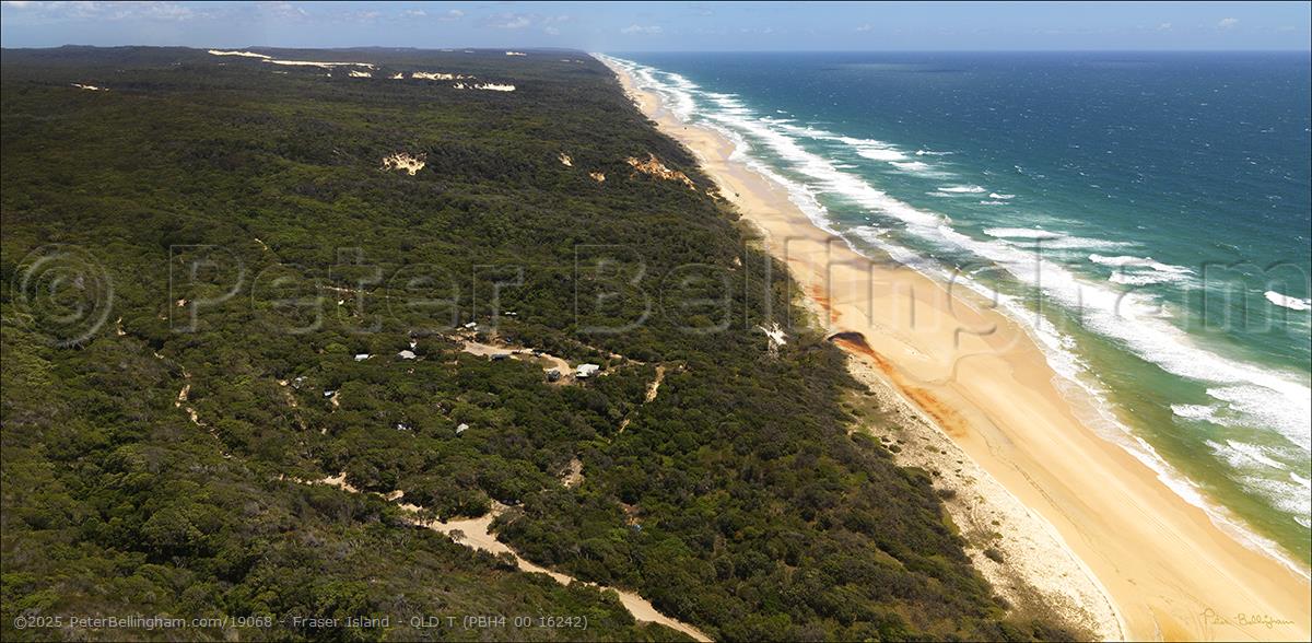 Peter Bellingham Photography Fraser Island - QLD T (PBH4 00 16242)
